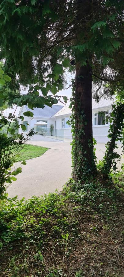 Annie'S House With Thermal Health Spa Moville Exterior photo